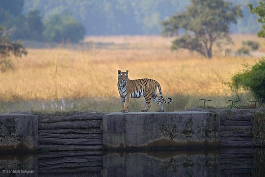 Tour image 5