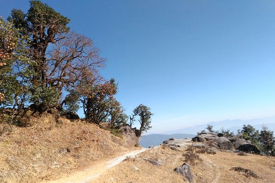 Tour image 3